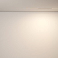 Maytoni Technical Parete Трековый светильник цвет: белый TR106-2-12W3K-W