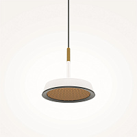 Maytoni Modern El Подвесной светильник цвет: черный MOD041PL-L15WG3K