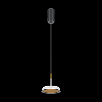 Maytoni Modern El Подвесной светильник цвет: черный MOD041PL-L15WG3K
