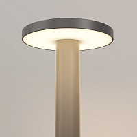 Maytoni Outdoor Wald Ландшафтный светильник цвет: графит O420FL-L12GF