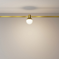 Maytoni Technical Luna Трековый светильник цвет: латунь TR149-1-5W3K-BS