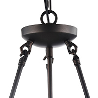Freya Loft Conte Люстра цвет: коричневый FR4166-PL-03C-BL