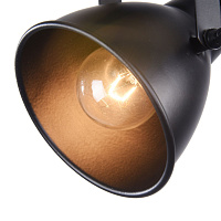 Freya Loft Ibbi Спот цвет: черный FR4276-CW-01-B