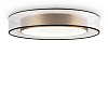 Freya LED Zoticus Потолочный светильник цвет: золото FR6005CL-L48G