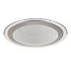 Freya LED Halo Потолочный светильник цвет: белый FR6998-CL-45-W