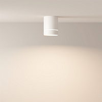 Maytoni Technical Orlo Потолочный светильник цвет: белый C085CL-9W4K-W