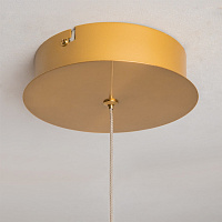 Maytoni Modern Plume Подвесной светильник цвет: латунь MOD340PL-L28BS3K