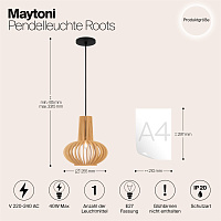 Maytoni Modern Roots Подвесной светильник цвет: черный MOD193PL-01W