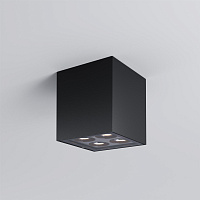 Maytoni Outdoor Ares Потолочный светильник цвет: графит O309CL-L8GF3K