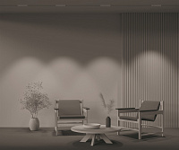 Maytoni Technical Points Трековый светильник цвет: черный TR031-2-12W3K-B