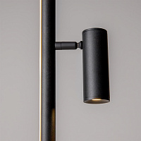 Maytoni Modern Thin Напольный светильник (торшер) цвет: черный MOD395FL-L28B3K