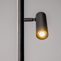 Maytoni Modern Thin Напольный светильник (торшер) цвет: черный MOD395FL-L28B3K