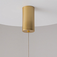 Maytoni Technical Ray Подвесной светильник цвет: золото P022PL-L10MG3K
