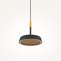 Maytoni Modern El Подвесной светильник цвет: черный MOD041PL-L15GB3K