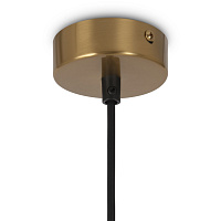 Maytoni Modern Ring Подвесной светильник цвет: латунь MOD013PL-04BS1