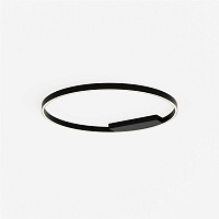 Maytoni Modern Rim Потолочный светильник цвет: черный MOD058CL-L50BK