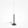 Maytoni Modern Ray Напольный светильник (торшер) цвет: черный Z012FL-L18B3K