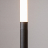 Maytoni Modern Ray Напольный светильник (торшер) цвет: черный Z012FL-L18B3K