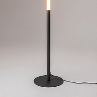 Maytoni Modern Ray Напольный светильник (торшер) цвет: черный Z012FL-L18B3K