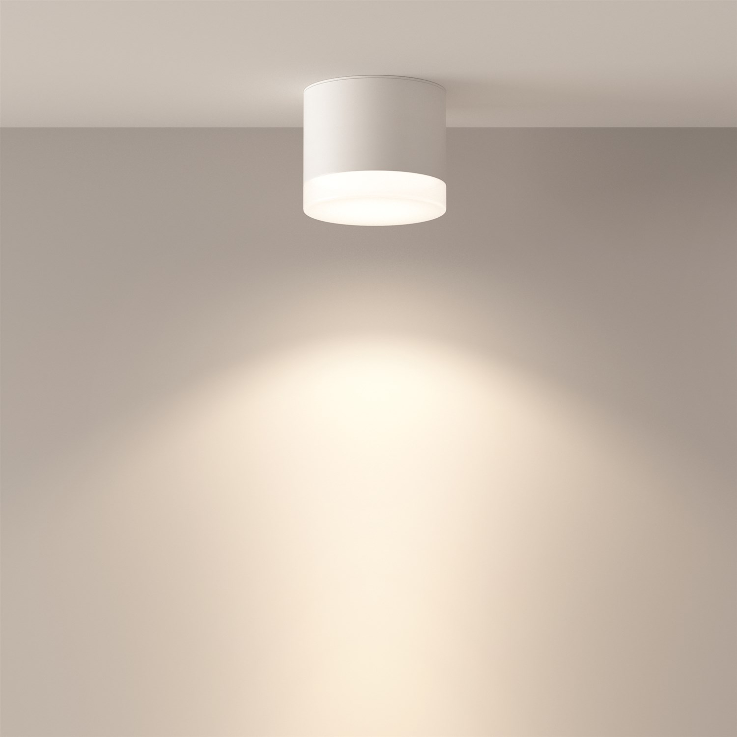 Maytoni Technical Pauline Потолочный светильник цвет: белый C087CL-GX53-W
