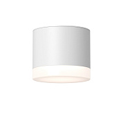 Maytoni Technical Pauline Потолочный светильник цвет: белый C087CL-GX53-W