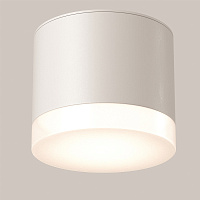 Maytoni Technical Pauline Потолочный светильник цвет: белый C087CL-GX53-W