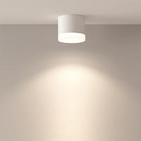 Maytoni Technical Pauline Потолочный светильник цвет: белый C087CL-GX53-W