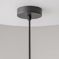 Maytoni Modern Cambio Подвесной светильник цвет: черный MOD398PL-01BR