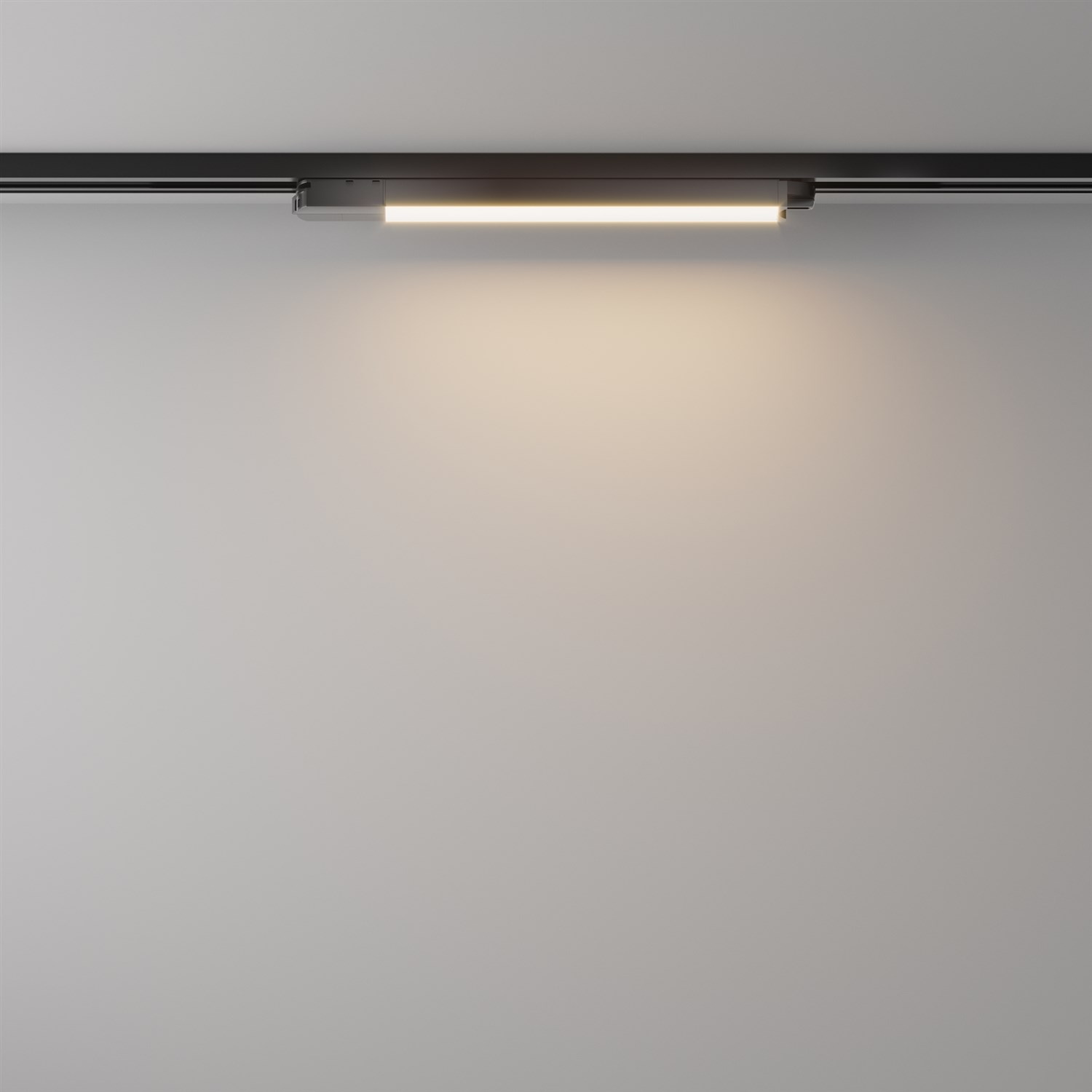 Maytoni Technical Basis Трековый светильник цвет: черный TR000-1-12W3K-B