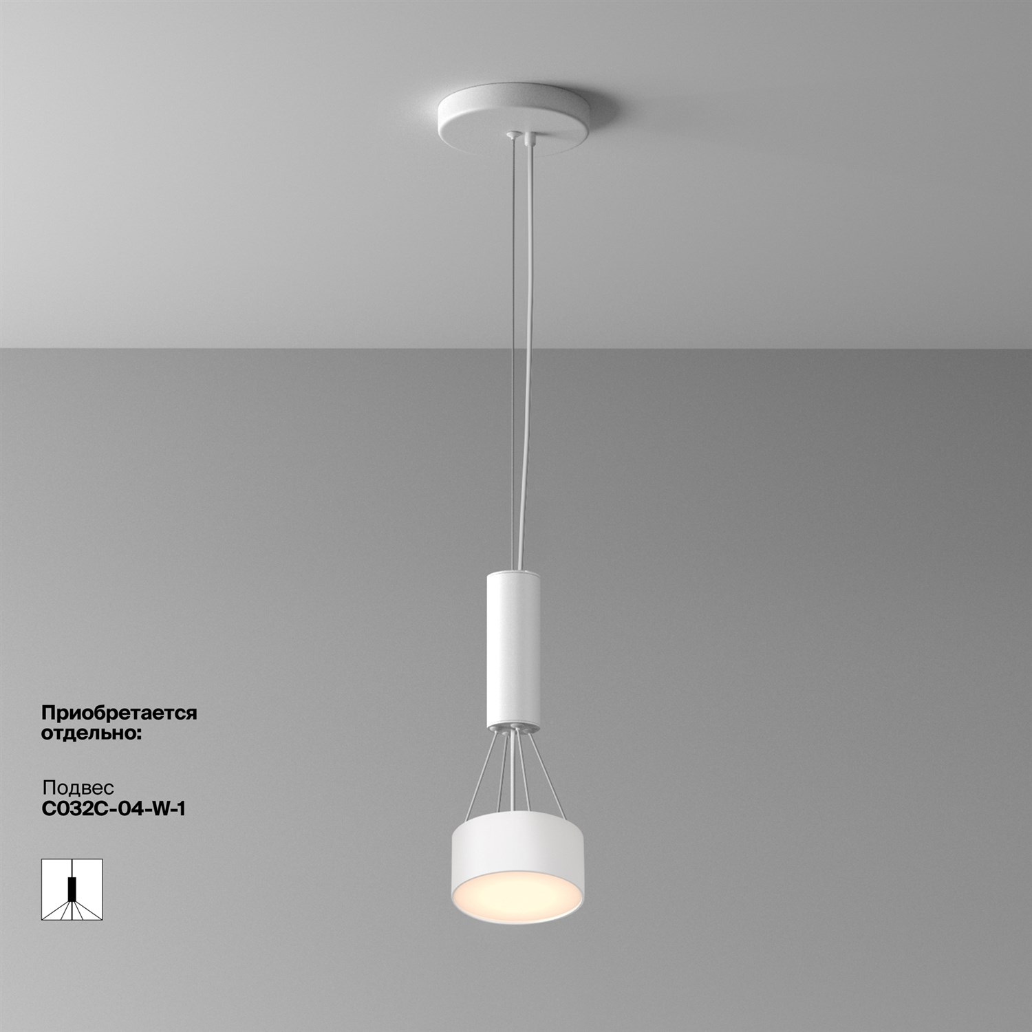 Maytoni Technical Zon Потолочный светильник цвет: белый C032CL-12W3K-RD-W