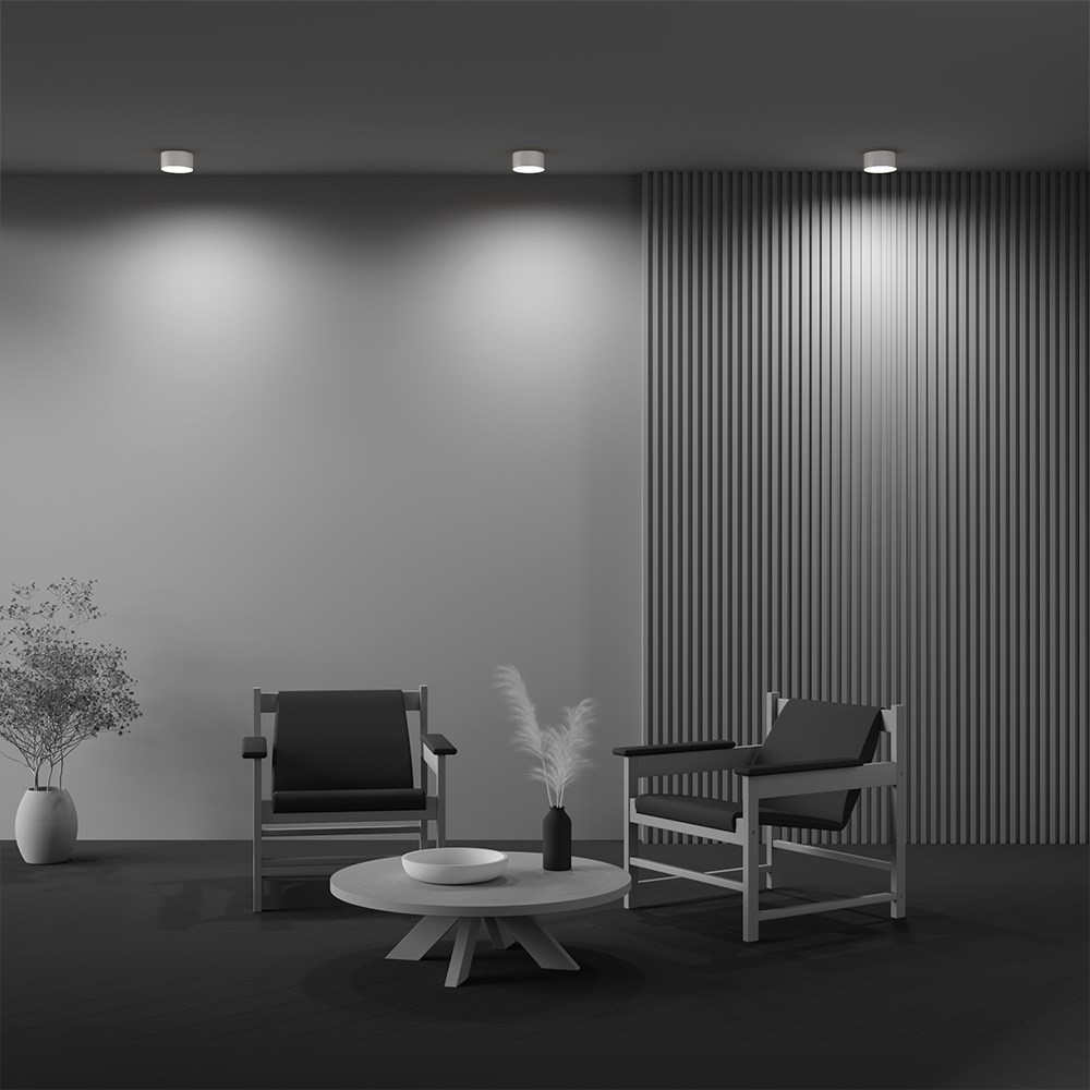 Maytoni Technical Zon Потолочный светильник цвет: белый C032CL-12W3K-RD-W