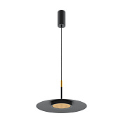 Maytoni Modern El Подвесной светильник цвет: черный MOD041PL-L15B3K1