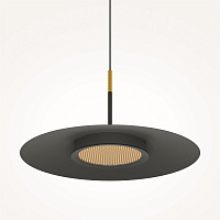 Maytoni Modern El Подвесной светильник цвет: черный MOD041PL-L15B3K1