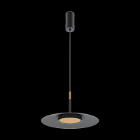 Maytoni Modern El Подвесной светильник цвет: черный MOD041PL-L15B3K1