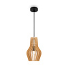 Maytoni Modern Roots Подвесной светильник цвет: черный MOD191PL-01W