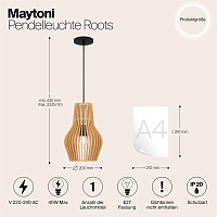 Maytoni Modern Roots Подвесной светильник цвет: черный MOD191PL-01W