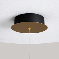 Maytoni Modern Pharao Подвесной светильник цвет: черный и латунь MOD361PL-L22BS3K