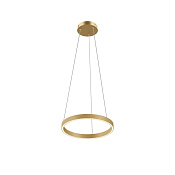 Maytoni Modern Rim Подвесной светильник цвет: латунь MOD058PL-L22BSK