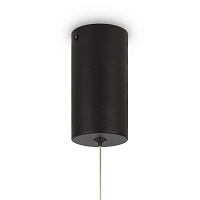 Maytoni Modern Glint Подвесной светильник цвет: черный MOD072PL-L28B3K