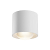Maytoni Technical Lens Потолочный светильник цвет: белый C217CL-15W3K-W