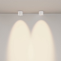 Maytoni Technical Lens Потолочный светильник цвет: белый C217CL-15W3K-W