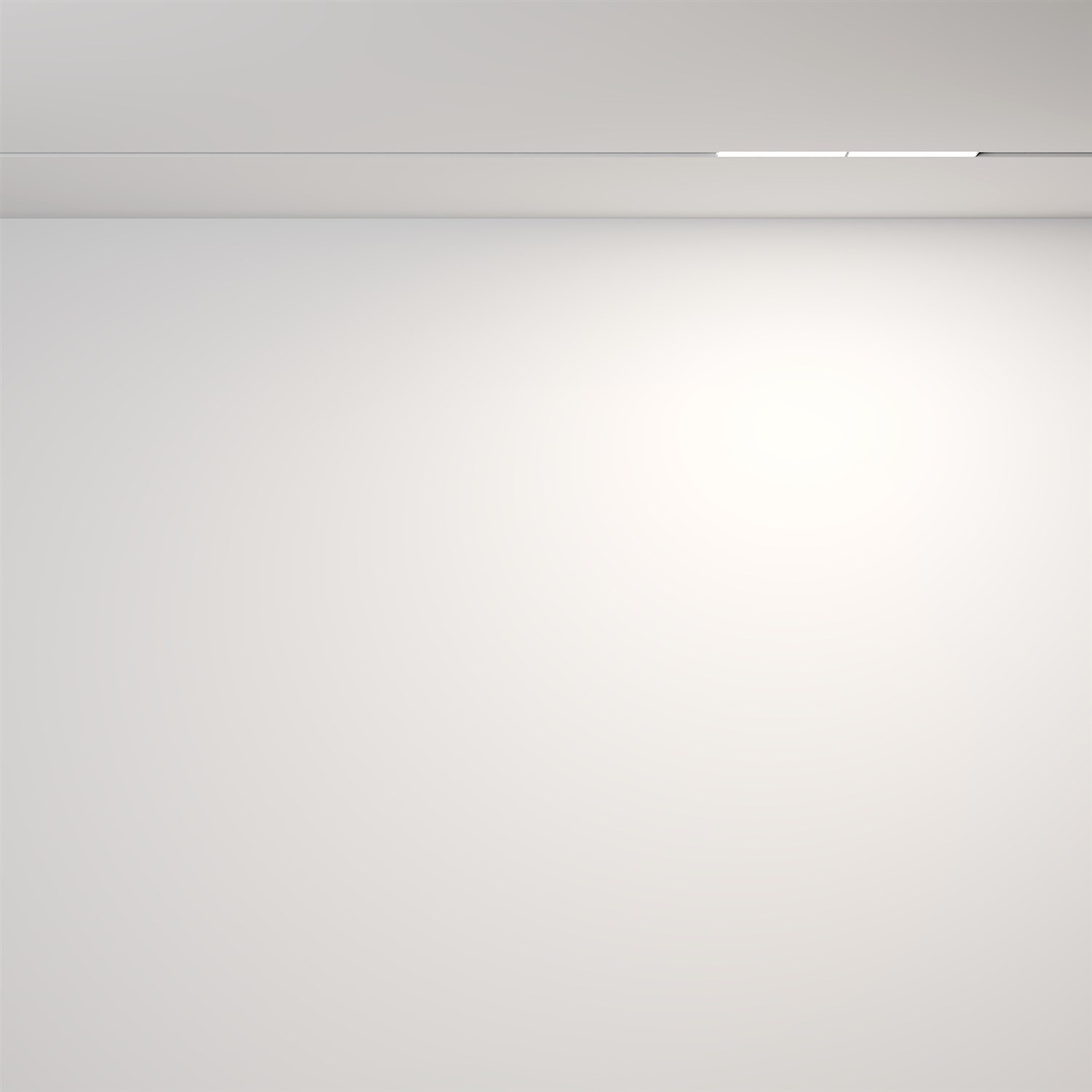Maytoni Technical Parete Трековый светильник цвет: белый TR106-2-12W4K-W