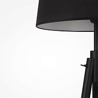 Maytoni Modern Calvin Напольный светильник (торшер) цвет: черный Z177FL-01B