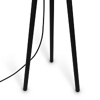 Maytoni Modern Calvin Напольный светильник (торшер) цвет: черный Z177FL-01B