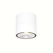 Maytoni Outdoor Spin Потолочный светильник цвет: белый O310CL-L12W3K