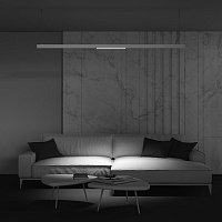 Maytoni Technical Points Трековый светильник цвет: белый TR031-2-24W4K-W