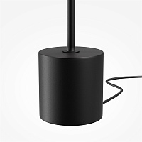 Maytoni Modern Evolution Напольный светильник (торшер) цвет: черный MOD396FL-L10W3K