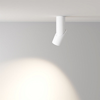 Maytoni Technical Dafne Потолочный светильник цвет: белый C027CL-L10W4K