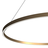 Maytoni Modern Rim Подвесной светильник цвет: латунь MOD058PL-L65BS3K