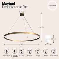 Maytoni Modern Rim Подвесной светильник цвет: латунь MOD058PL-L65BS3K